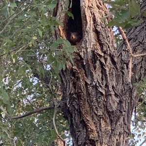 Meet your Posher, Sarai